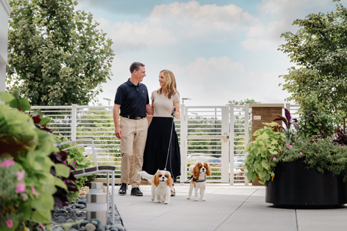 Couple with two spaniel dogs